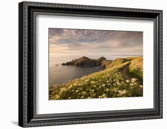 The Rumps, Pentire Head, Devon Coastal Path, Cornwall, UK-Ross Hoddinott-Framed Photographic Print