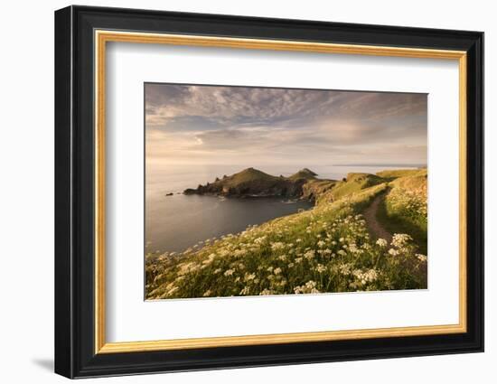 The Rumps, Pentire Head, Devon Coastal Path, Cornwall, UK-Ross Hoddinott-Framed Photographic Print