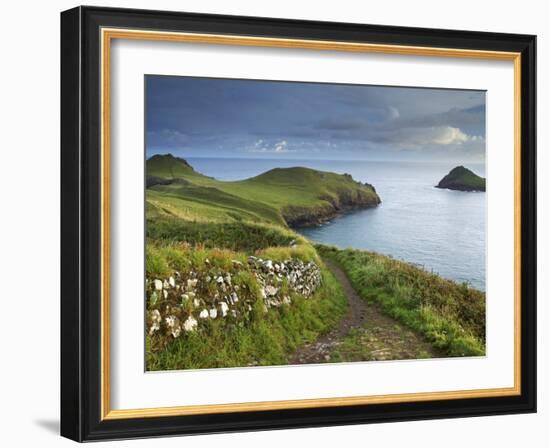 The Rumps, Pentire Point, Cornwall, England, United Kingdom, Europe-Jeremy Lightfoot-Framed Photographic Print