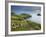 The Rumps, Pentire Point, Cornwall, England, United Kingdom, Europe-Jeremy Lightfoot-Framed Photographic Print