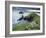 The Rumps, Pentire Point, Cornwall, England, United Kingdom, Europe-Jeremy Lightfoot-Framed Photographic Print