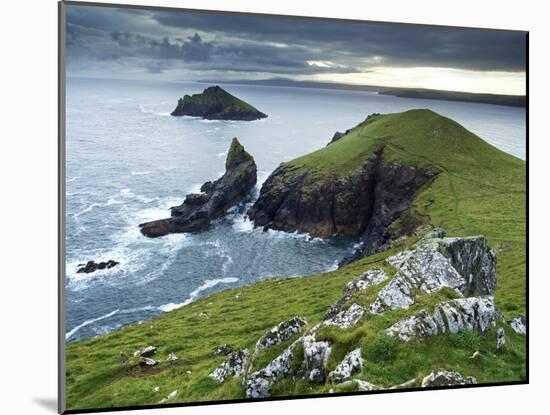 The Rumps, Pentire Point, Cornwall, England, United Kingdom, Europe-Jeremy Lightfoot-Mounted Photographic Print