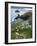 The Rumps, Pentire Point, Cornwall, England, United Kingdom, Europe-Jeremy Lightfoot-Framed Photographic Print