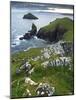 The Rumps, Pentire Point, Cornwall, England, United Kingdom, Europe-Jeremy Lightfoot-Mounted Photographic Print