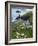 The Rumps, Pentire Point, Cornwall, England, United Kingdom, Europe-Jeremy Lightfoot-Framed Photographic Print