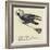The Rural Runcible Raven-Edward Lear-Framed Giclee Print