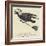 The Rural Runcible Raven-Edward Lear-Framed Giclee Print