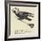 The Rural Runcible Raven-Edward Lear-Framed Giclee Print