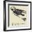 The Rural Runcible Raven-Edward Lear-Framed Giclee Print