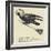 The Rural Runcible Raven-Edward Lear-Framed Giclee Print