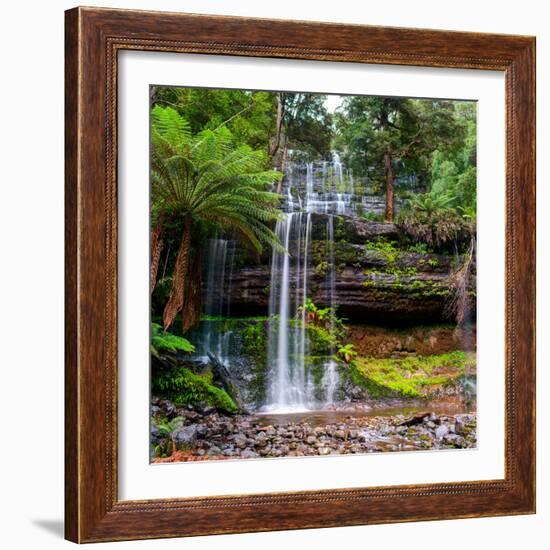 The Russell Falls, a Tiered Cascade Waterfall on the Russell Falls Creek, is Located in the Central-Yevgen Belich-Framed Photographic Print