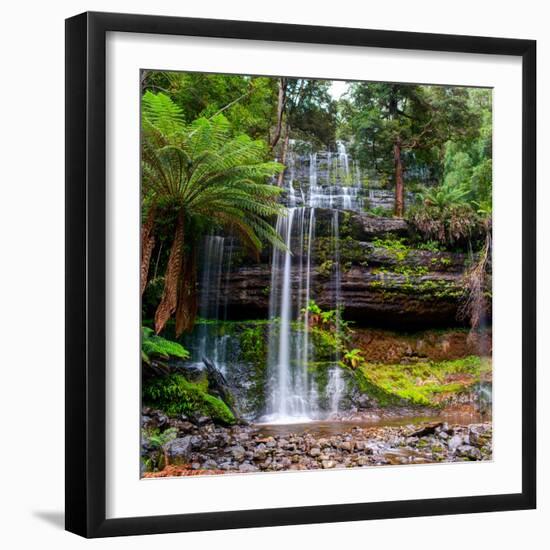 The Russell Falls, a Tiered Cascade Waterfall on the Russell Falls Creek, is Located in the Central-Yevgen Belich-Framed Photographic Print