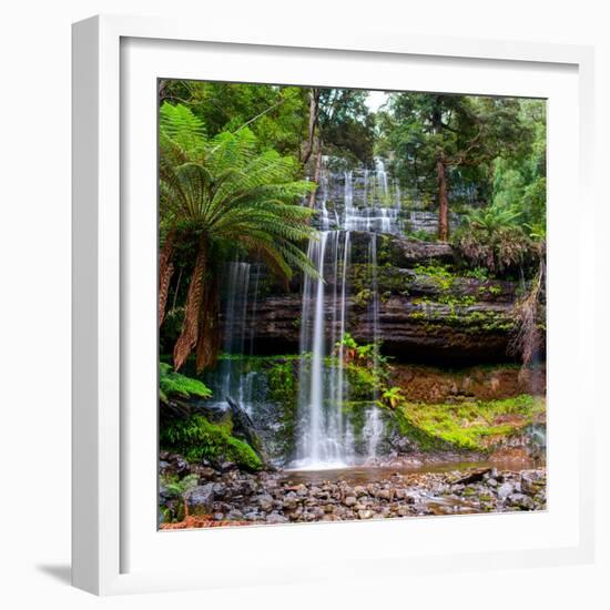 The Russell Falls, a Tiered Cascade Waterfall on the Russell Falls Creek, is Located in the Central-Yevgen Belich-Framed Photographic Print