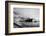 The S S Titanic Leaving Bairds Works Belfast-null-Framed Photographic Print