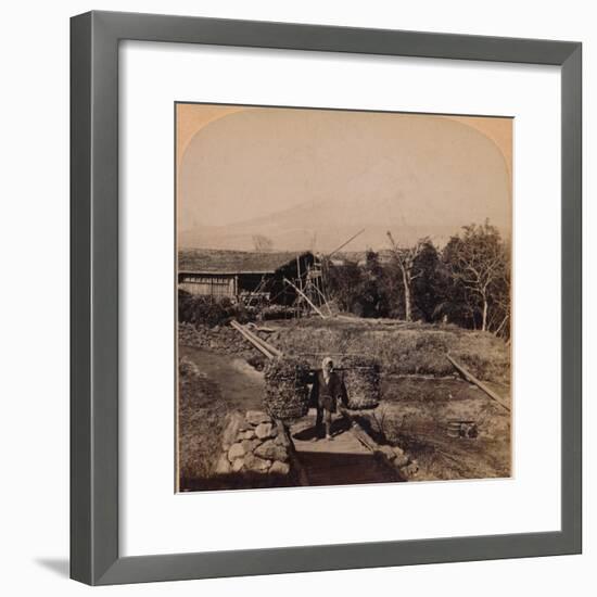 'The Sacred Fujiyama, Highest Mountain in Japan', 1896-Unknown-Framed Photographic Print