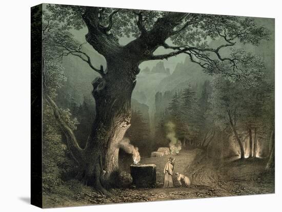 Stretched Canvas Print, , large