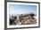 The Sacred Jain Marble Temples, Place of Jain Pilgrimage, Built at the Top of Shatrunjaya Hill-Annie Owen-Framed Photographic Print