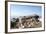 The Sacred Jain Marble Temples, Place of Jain Pilgrimage, Built at the Top of Shatrunjaya Hill-Annie Owen-Framed Photographic Print