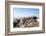 The Sacred Jain Marble Temples, Place of Jain Pilgrimage, Built at the Top of Shatrunjaya Hill-Annie Owen-Framed Photographic Print