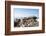 The Sacred Jain Marble Temples, Place of Jain Pilgrimage, Built at the Top of Shatrunjaya Hill-Annie Owen-Framed Photographic Print