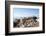 The Sacred Jain Marble Temples, Place of Jain Pilgrimage, Built at the Top of Shatrunjaya Hill-Annie Owen-Framed Photographic Print