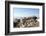 The Sacred Jain Marble Temples, Place of Jain Pilgrimage, Built at the Top of Shatrunjaya Hill-Annie Owen-Framed Photographic Print