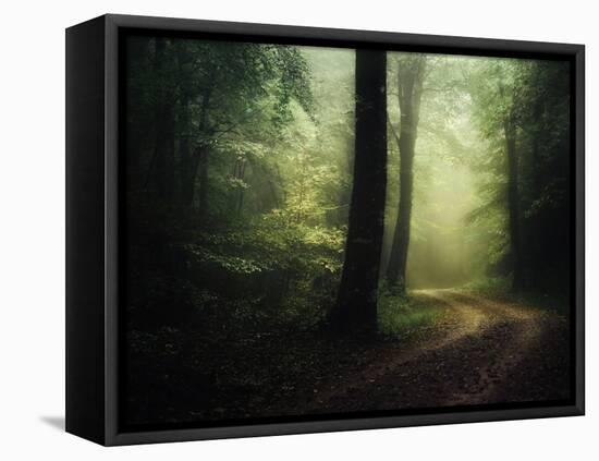 The Sacred Path-Philippe Manguin-Framed Premier Image Canvas