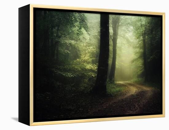 The Sacred Path-Philippe Manguin-Framed Premier Image Canvas