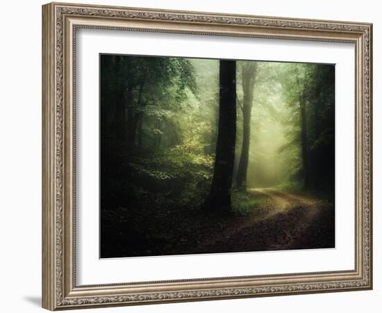 The Sacred Path-Philippe Manguin-Framed Photographic Print