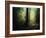 The Sacred Path-Philippe Manguin-Framed Photographic Print