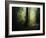 The Sacred Path-Philippe Manguin-Framed Photographic Print