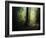 The Sacred Path-Philippe Manguin-Framed Photographic Print