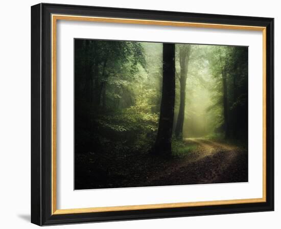 The Sacred Path-Philippe Manguin-Framed Photographic Print