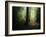 The Sacred Path-Philippe Manguin-Framed Photographic Print