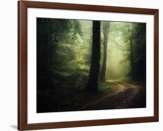 The Sacred Path-Philippe Manguin-Framed Photographic Print