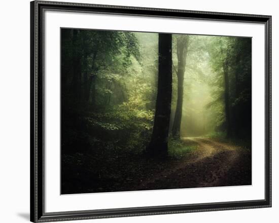 The Sacred Path-Philippe Manguin-Framed Photographic Print