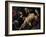 The Sacrifice of Isaac, C. 1615-Pedro Orrente-Framed Giclee Print