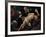 The Sacrifice of Isaac, C. 1615-Pedro Orrente-Framed Giclee Print