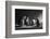 The Sad Farewell- the 3Rd Part of the Jam Triptych-Victoria Ivanova-Framed Photographic Print