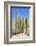 The Saguaro-meunierd-Framed Photographic Print