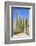 The Saguaro-meunierd-Framed Photographic Print