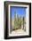 The Saguaro-meunierd-Framed Photographic Print