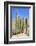 The Saguaro-meunierd-Framed Photographic Print