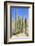 The Saguaro-meunierd-Framed Photographic Print