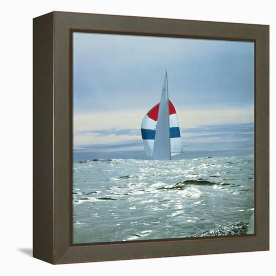 The Sailboat Nefertiti Competing in the America's Cup Trials-George Silk-Framed Premier Image Canvas