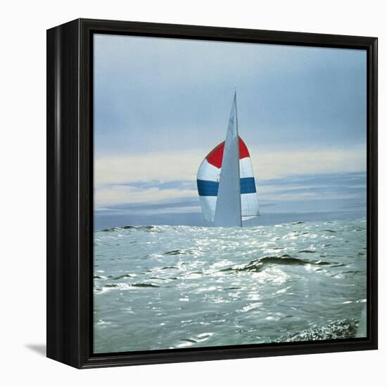 The Sailboat Nefertiti Competing in the America's Cup Trials-George Silk-Framed Premier Image Canvas