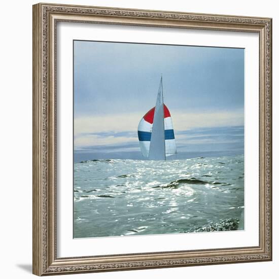 The Sailboat Nefertiti Competing in the America's Cup Trials-George Silk-Framed Photographic Print