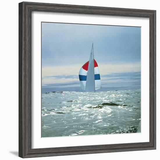 The Sailboat Nefertiti Competing in the America's Cup Trials-George Silk-Framed Photographic Print