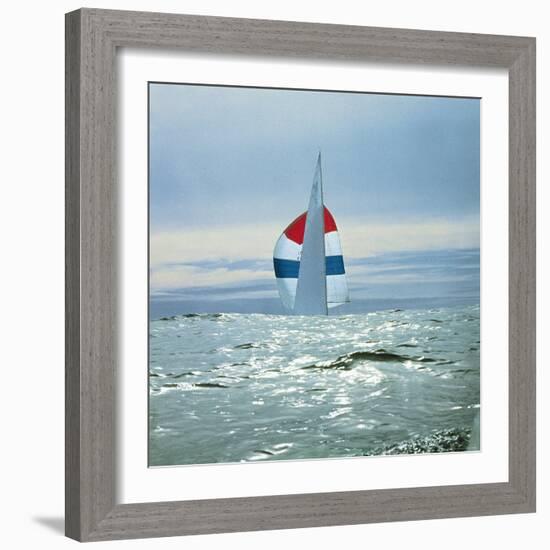 The Sailboat Nefertiti Competing in the America's Cup Trials-George Silk-Framed Photographic Print