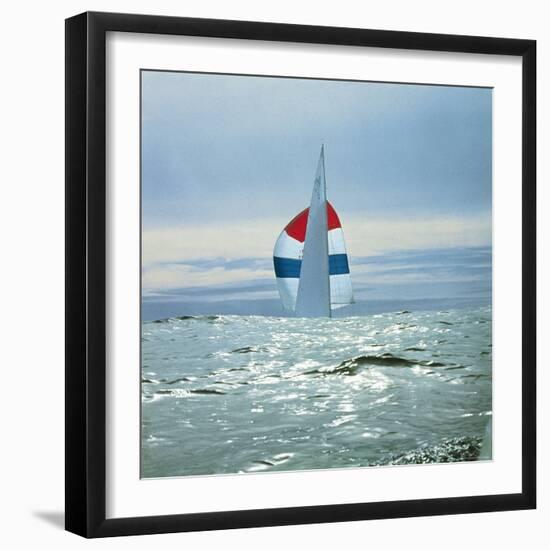 The Sailboat Nefertiti Competing in the America's Cup Trials-George Silk-Framed Photographic Print